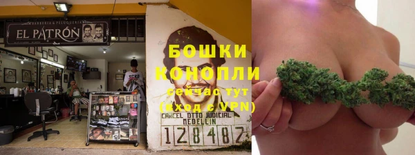 PSILOCYBIN Абинск