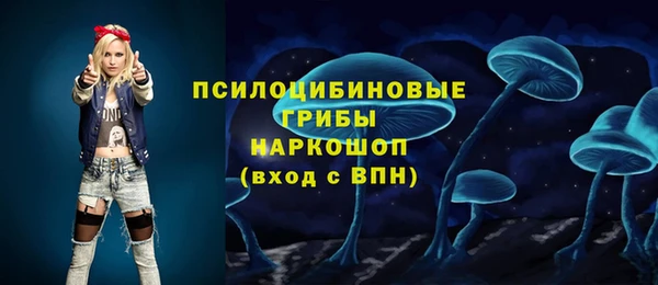 PSILOCYBIN Абинск