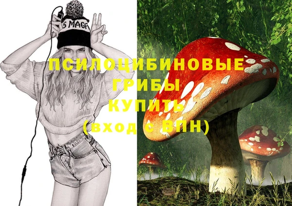 PSILOCYBIN Абинск